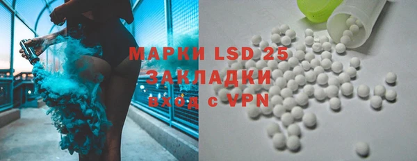 индика Богданович