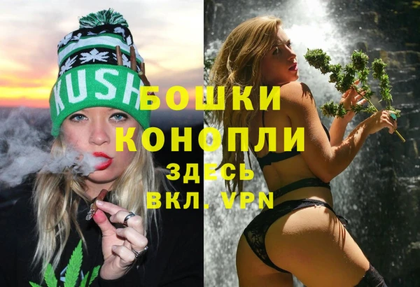 индика Богданович
