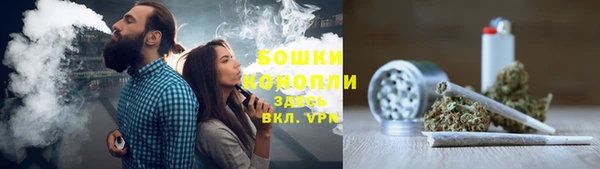 индика Богданович