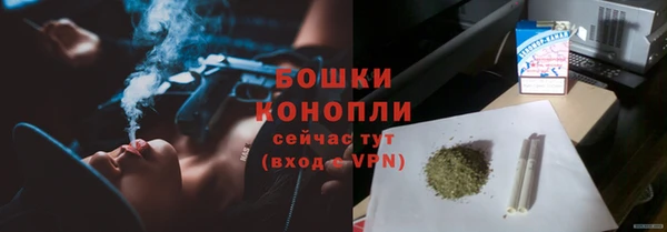 индика Богданович
