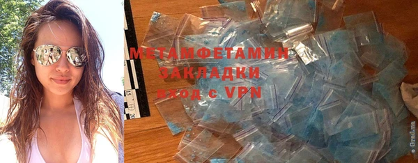 индика Богданович