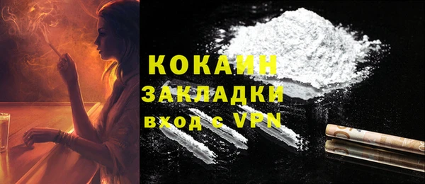 индика Богданович