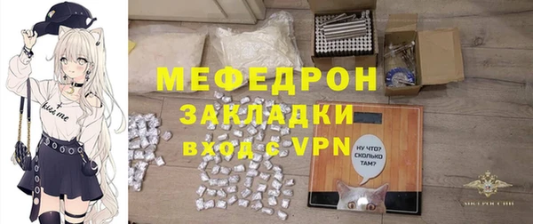 индика Богданович
