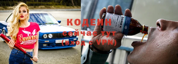индика Богданович