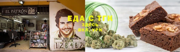 индика Богданович