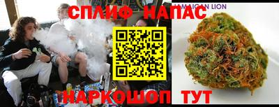 винт Дубна