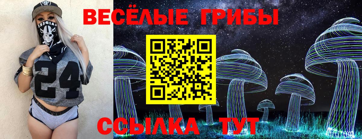 Псилоцибиновые грибы MAGIC MUSHROOMS Бутурлиновка
