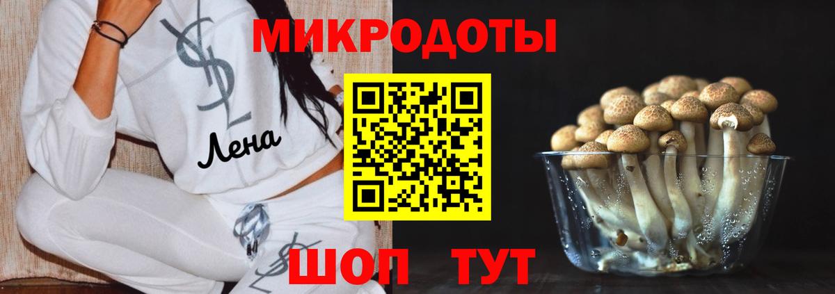 Галлюциногенные грибы GOLDEN TEACHER  Вход с VPN  Бутурлиновка 